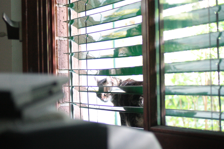 20100525_165656_1_1.jpg