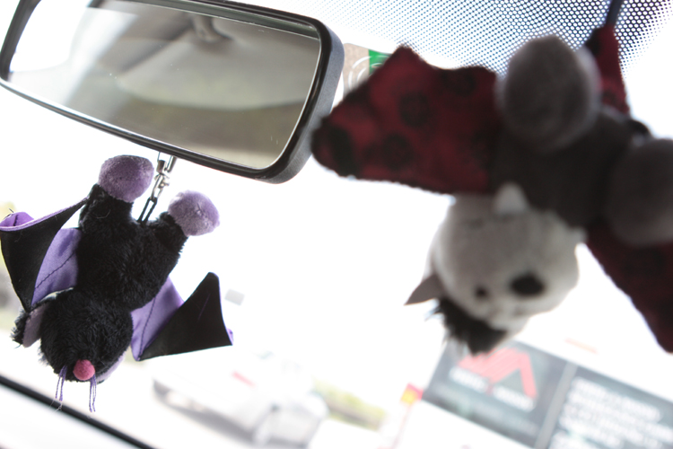 20110614_105532_1_1.jpg