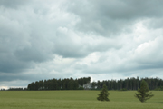 20110614_113416_1_1